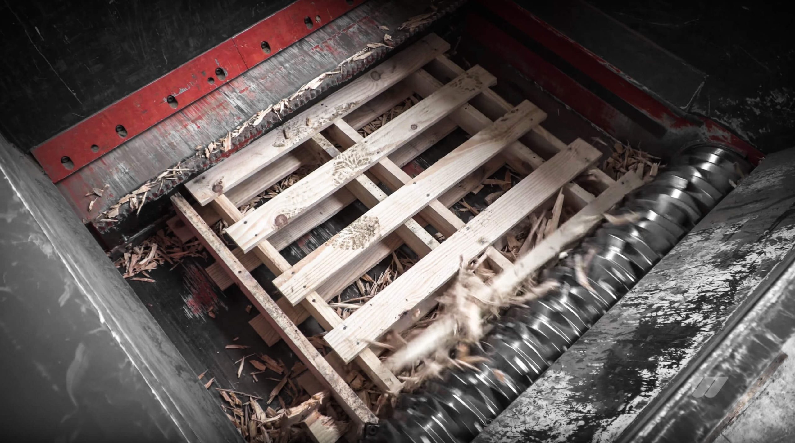 Paletten Zerkleinerung im Schneidraum eines WLK 1500 Shredders