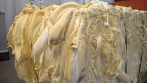 Schaummatratzen Zerkleinerung