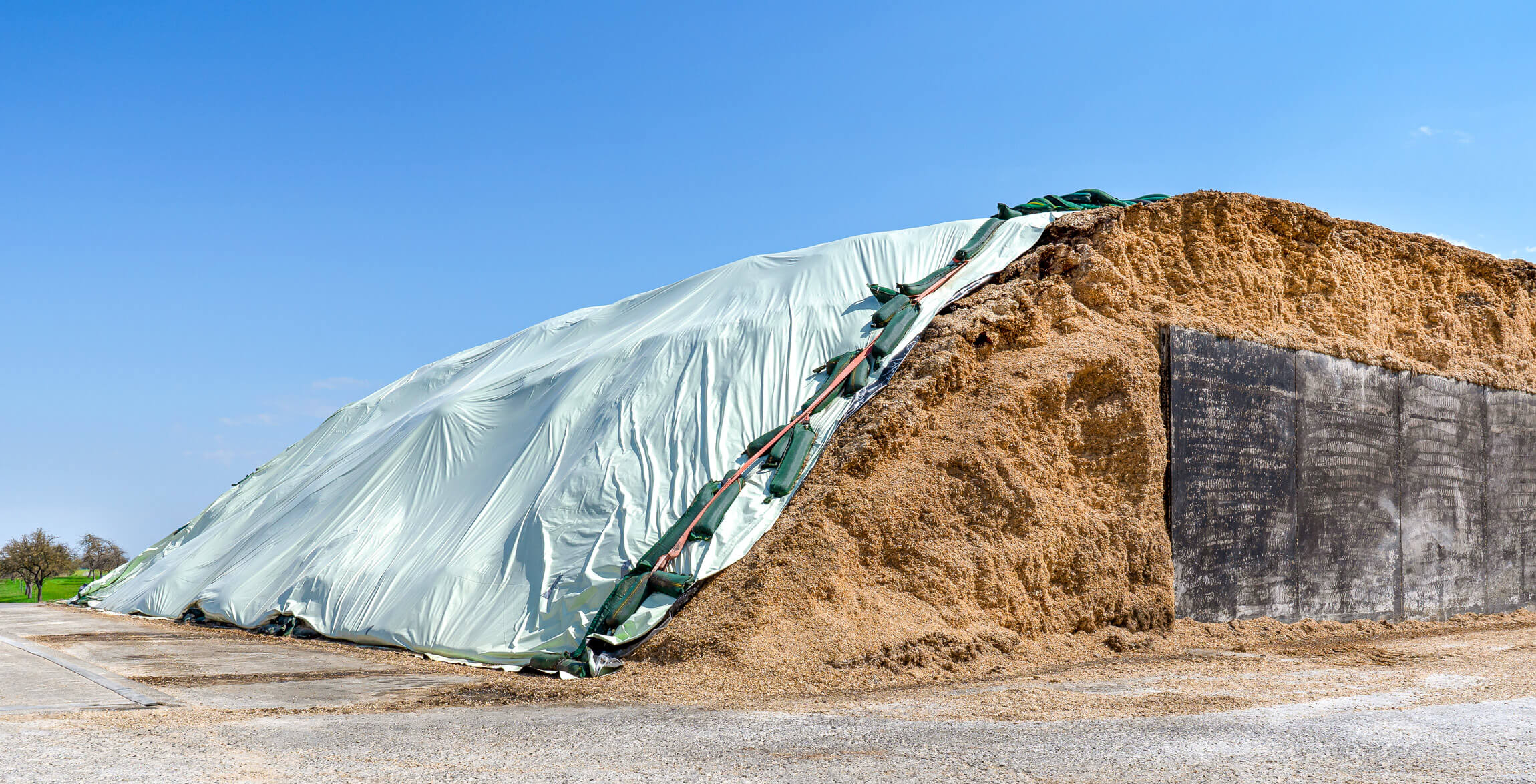 Feed silage is stored in bunker silo
