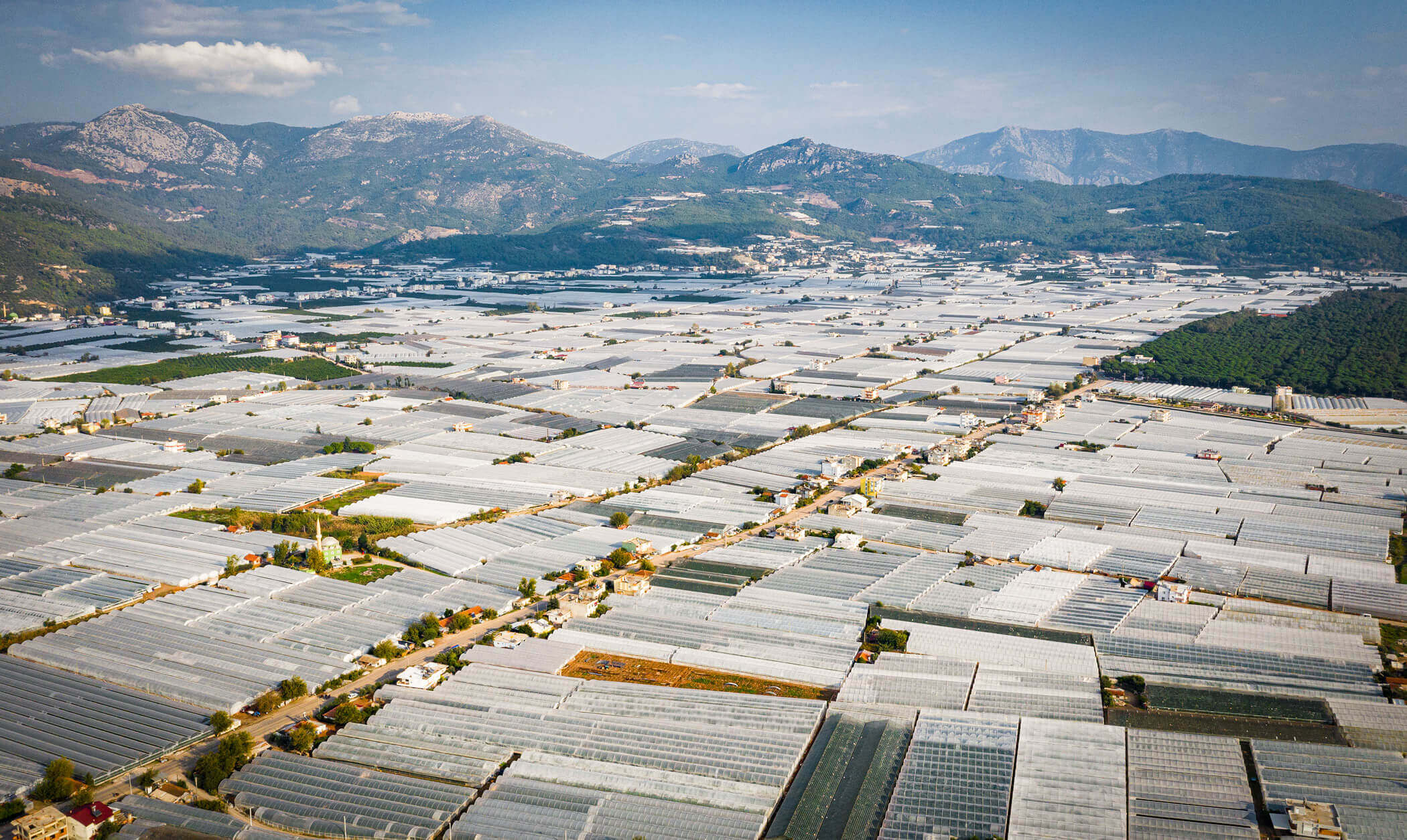 Greenhouse film covers many fields in Southern Europe