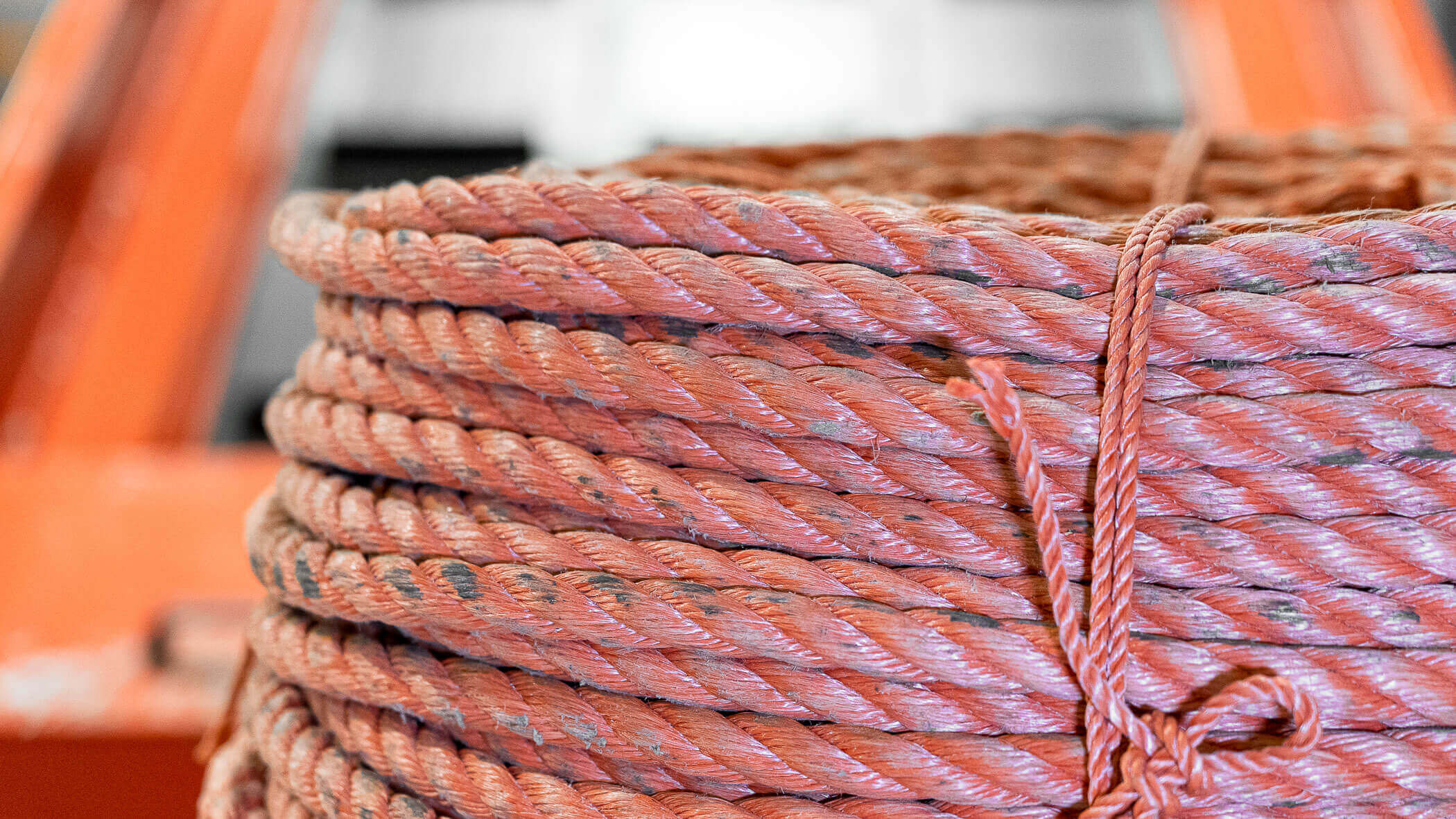 rote seile vom fischen