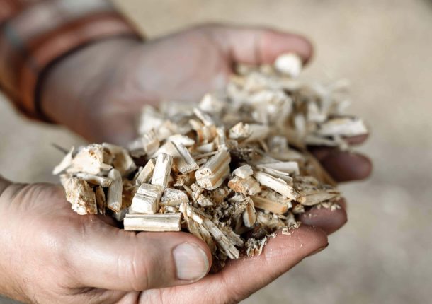 Restholz Hackschnitzel , gehalten in zwei Händen