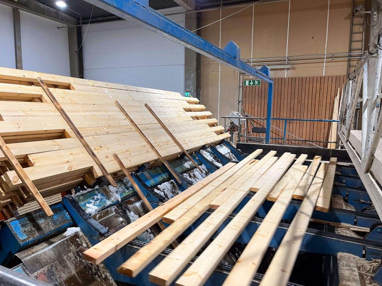 Ungleiche Schnitthölzer werden über ein System weitertransportiert.