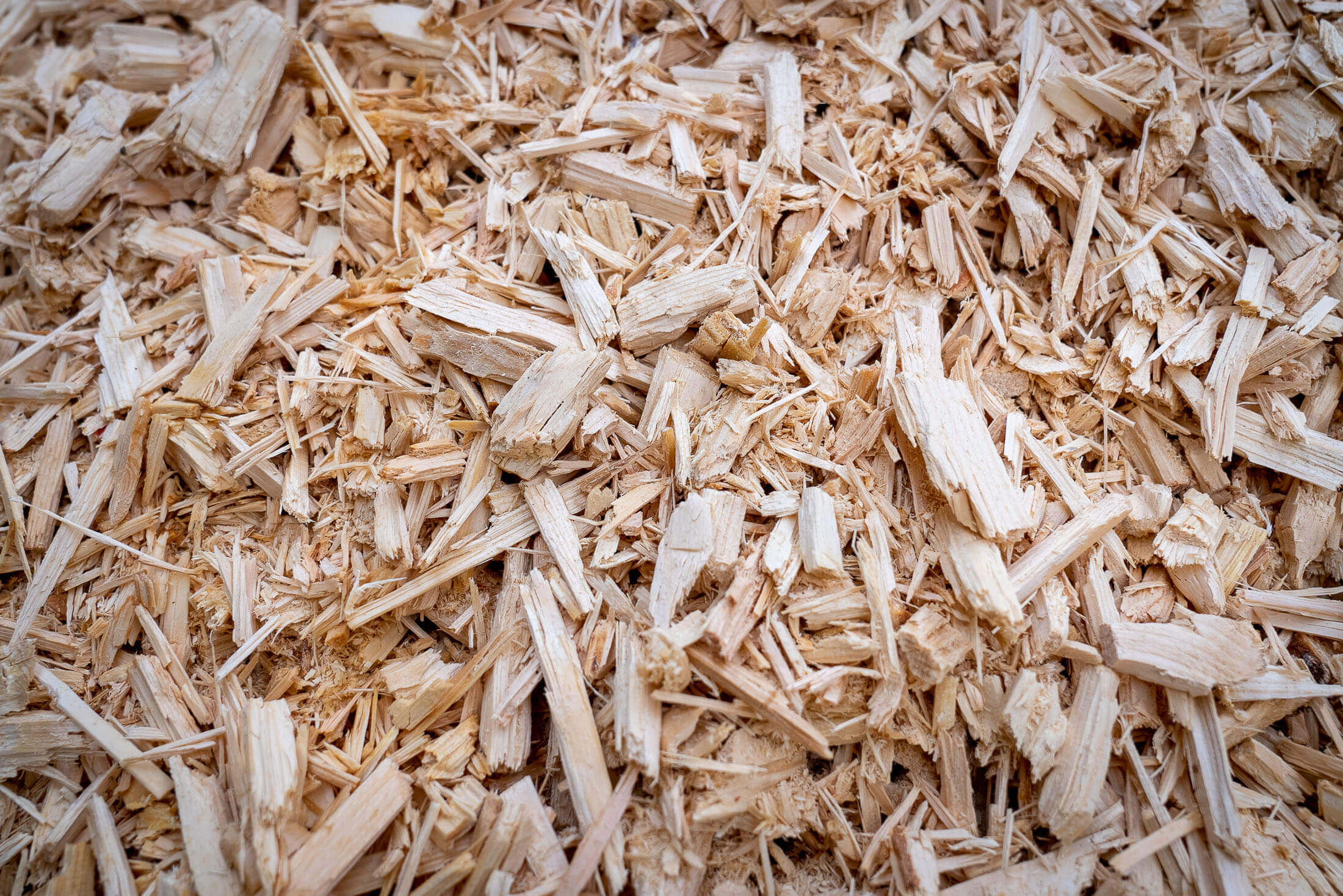 A pile of wood chips