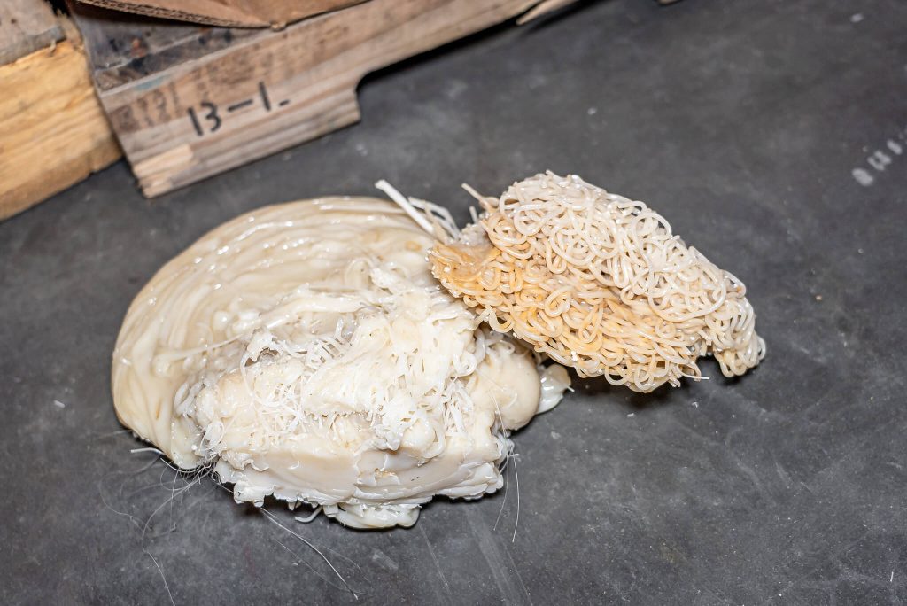 Two lumps of plastic with a thread-like structure lie on the floor of an industrial hall.